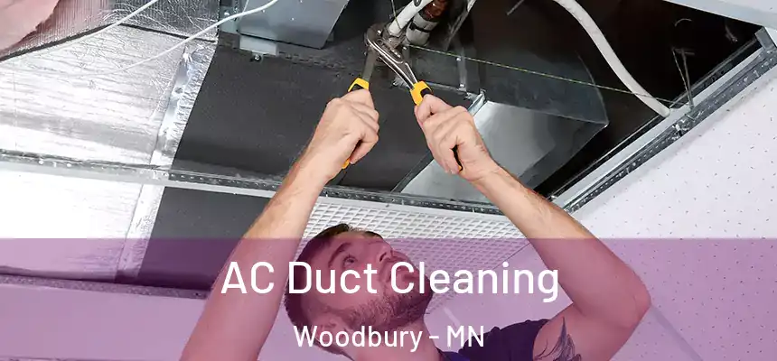  AC Duct Cleaning Woodbury - MN