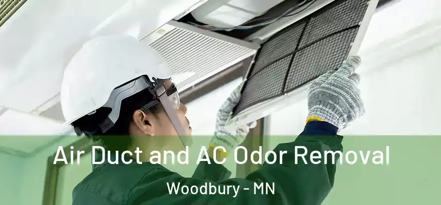 Air Duct and AC Odor Removal Woodbury - MN