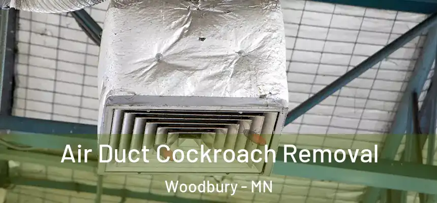 Air Duct Cockroach Removal Woodbury - MN