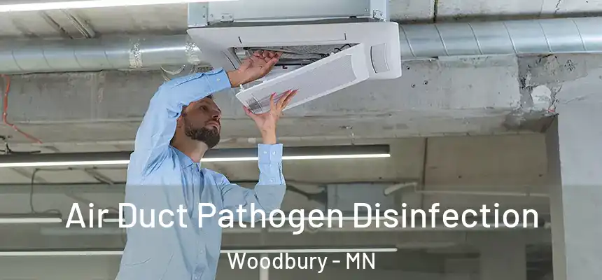 Air Duct Pathogen Disinfection Woodbury - MN