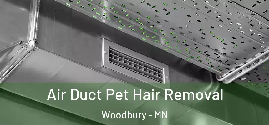  Air Duct Pet Hair Removal Woodbury - MN