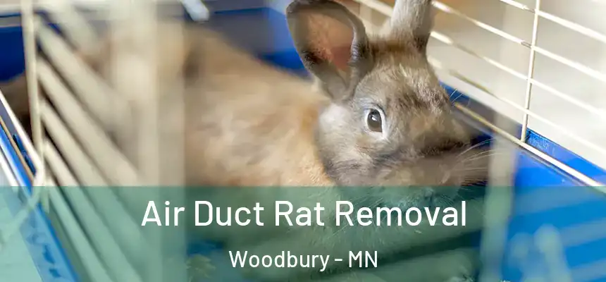  Air Duct Rat Removal Woodbury - MN