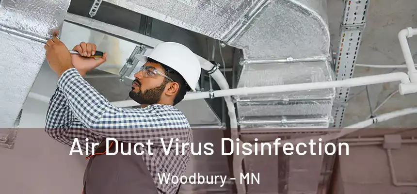 Air Duct Virus Disinfection Woodbury - MN