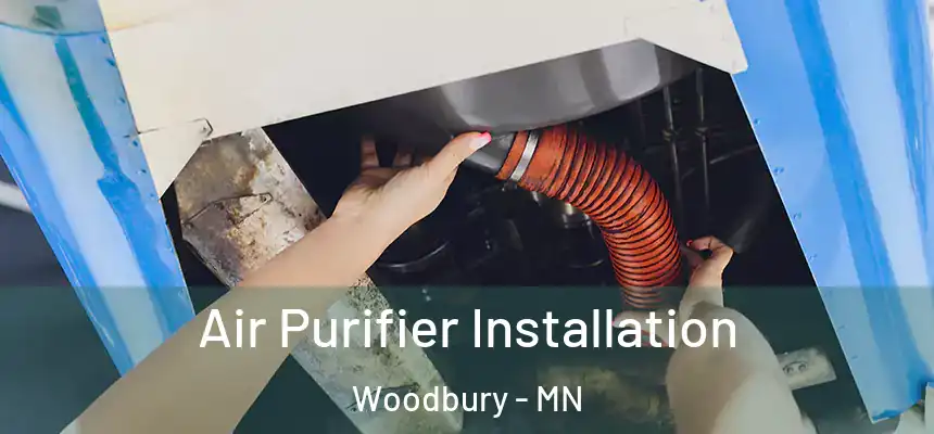  Air Purifier Installation Woodbury - MN