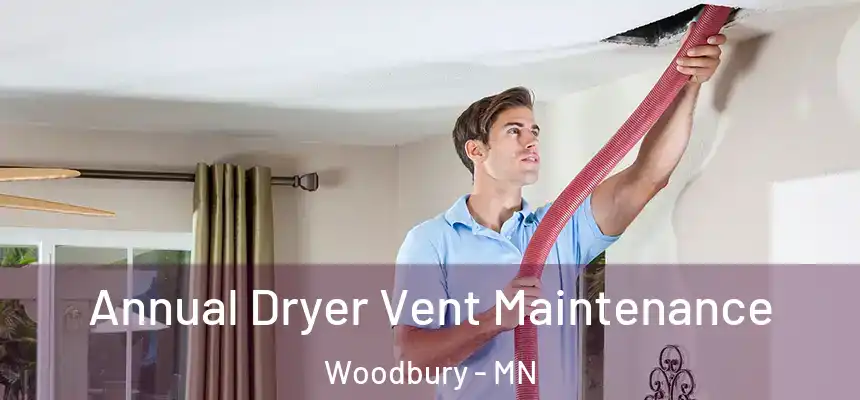  Annual Dryer Vent Maintenance Woodbury - MN