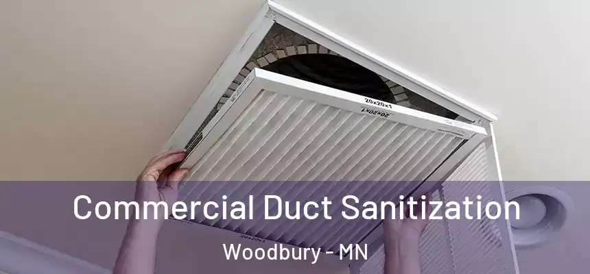 Commercial Duct Sanitization Woodbury - MN