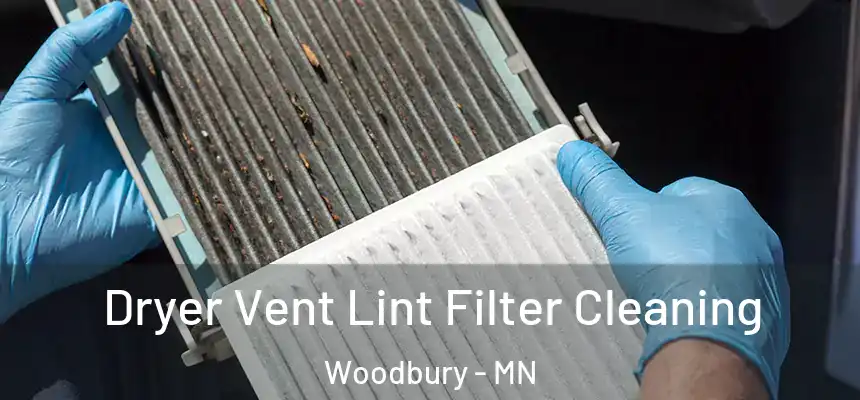 Dryer Vent Lint Filter Cleaning Woodbury - MN