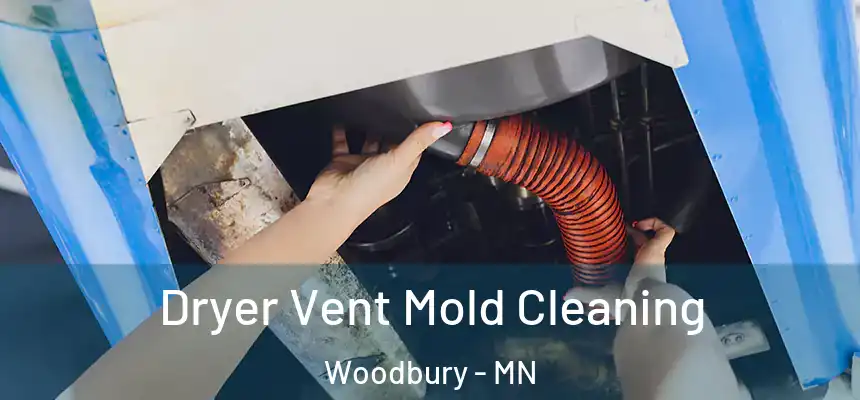 Dryer Vent Mold Cleaning Woodbury - MN