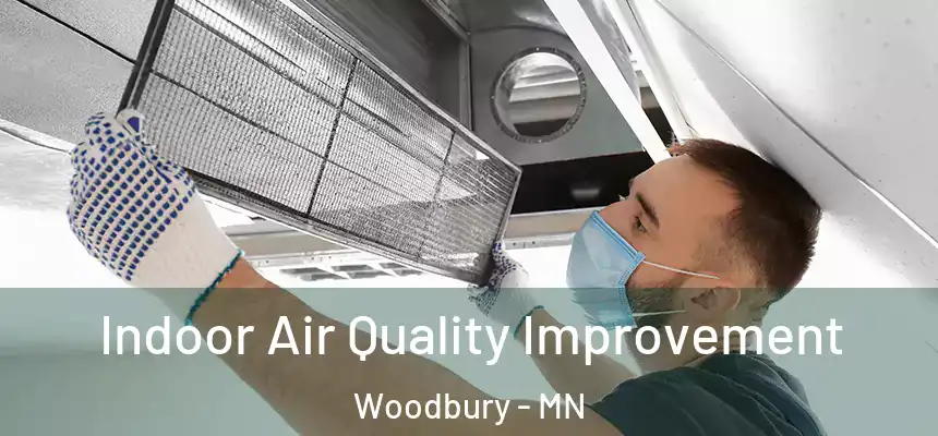 Indoor Air Quality Improvement Woodbury - MN