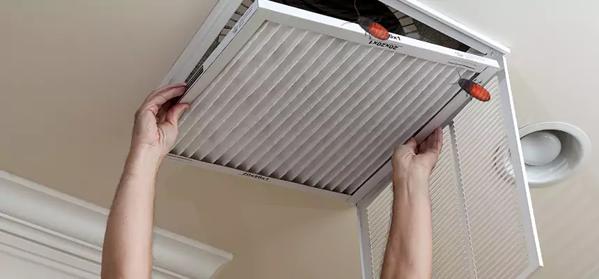 Preventive Cockroach-Proofing for Ducts in Woodbury