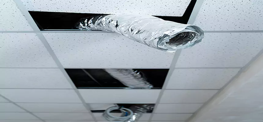 Our Air Duct Pet Hair Removal Services in Woodbury, MN