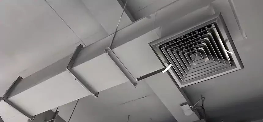 Our Pest Removal From Ducts Services in Woodbury, MN