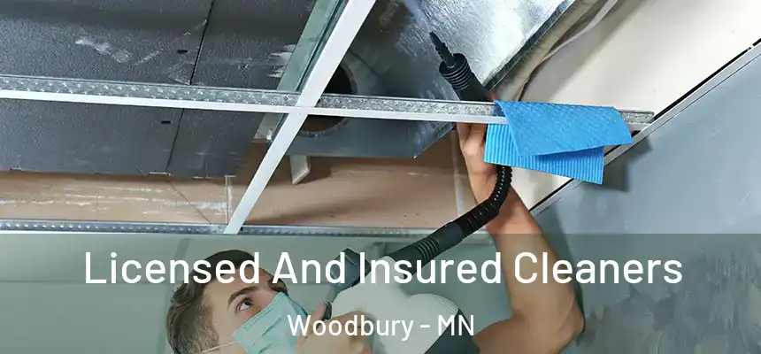 Licensed And Insured Cleaners Woodbury - MN