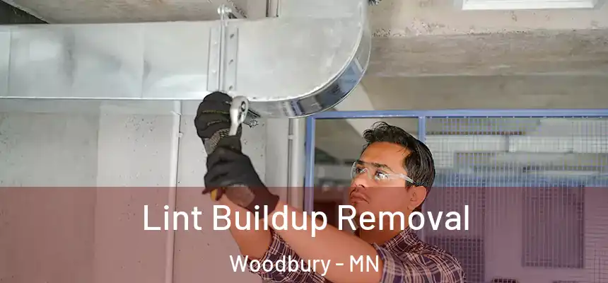 Lint Buildup Removal Woodbury - MN