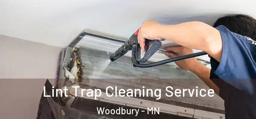 Lint Trap Cleaning Service Woodbury - MN