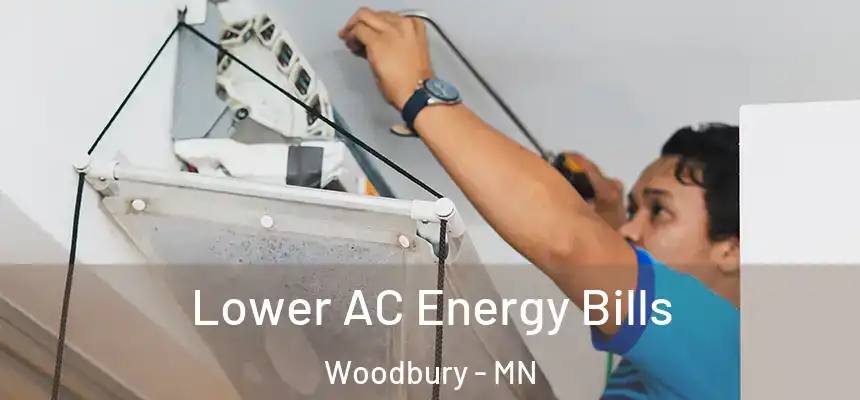 Lower AC Energy Bills Woodbury - MN