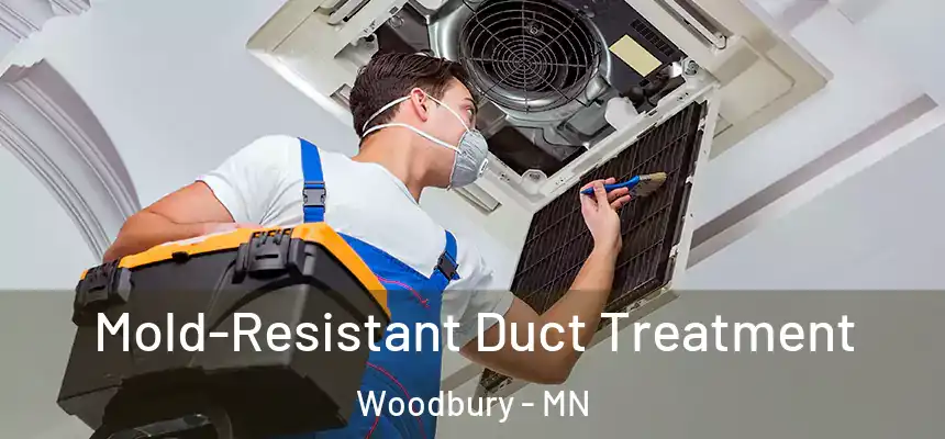 Mold-Resistant Duct Treatment Woodbury - MN