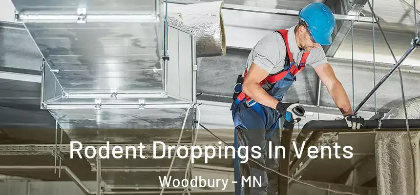 Rodent Droppings In Vents Woodbury - MN