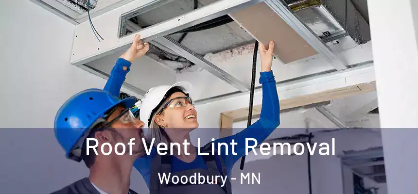 Roof Vent Lint Removal Woodbury - MN