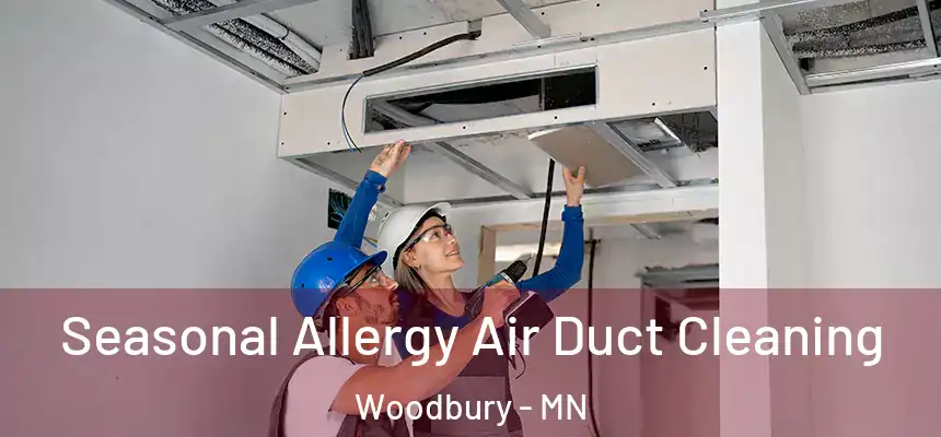 Seasonal Allergy Air Duct Cleaning Woodbury - MN