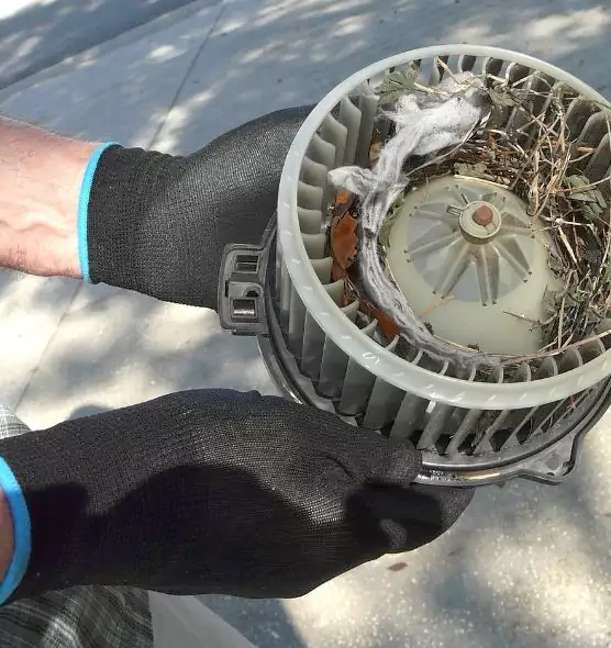 About Air Duct Rat Removal in Woodbury, MN