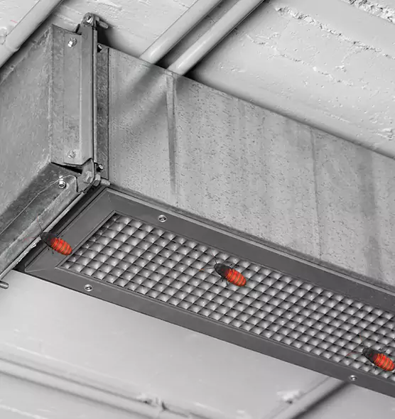 Affordable Insect Removal from Air Ducts in Woodbury, MN