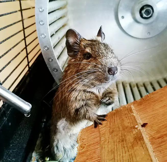 Why Homeowners & Businesses Trust Us Woodbury, MN