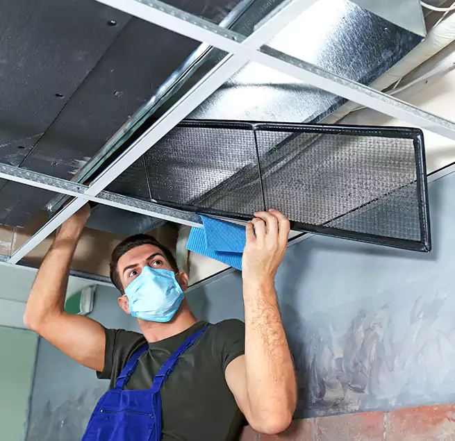 Why Homeowners Businesses Trust Us in Woodbury, MN