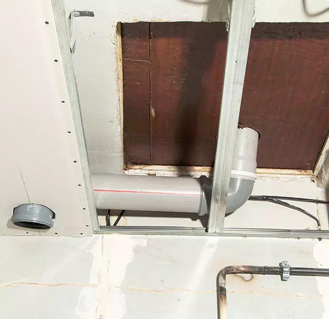 Why Homeowners & Businesses Trust Us in Woodbury, MN?