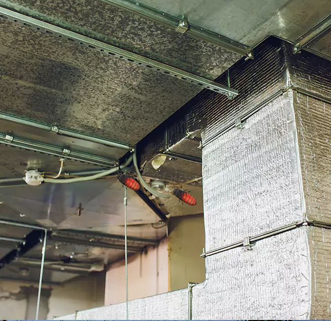 Why Homeowners & Businesses Trust Us Woodbury, MN?